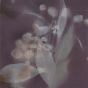 Meet your Posher, Ren